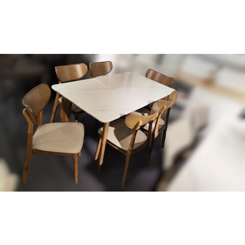 TJYS-157 DINING SET (1+6)